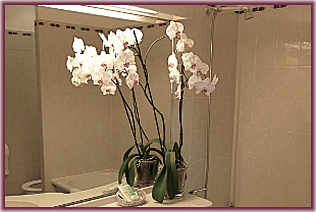 Une Salle de Bain de l'Hôtel